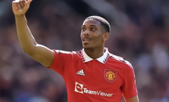 无疑将是体 无疑将是体